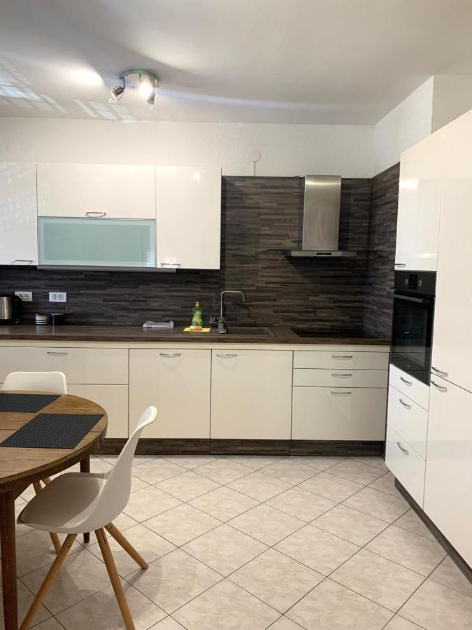 Apartment Novigrad Centre Exteriör bild